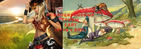 стаф Богородицк