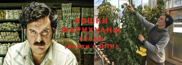 стаф Богородицк