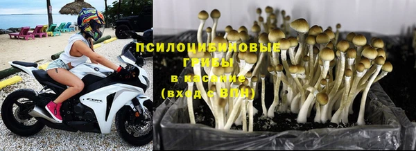 ECSTASY Богородск