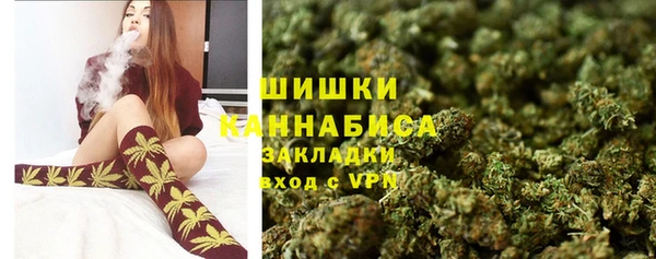 стаф Богородицк
