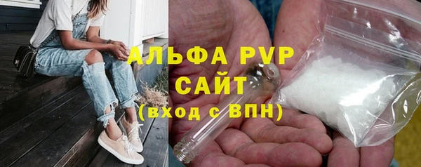 стаф Богородицк